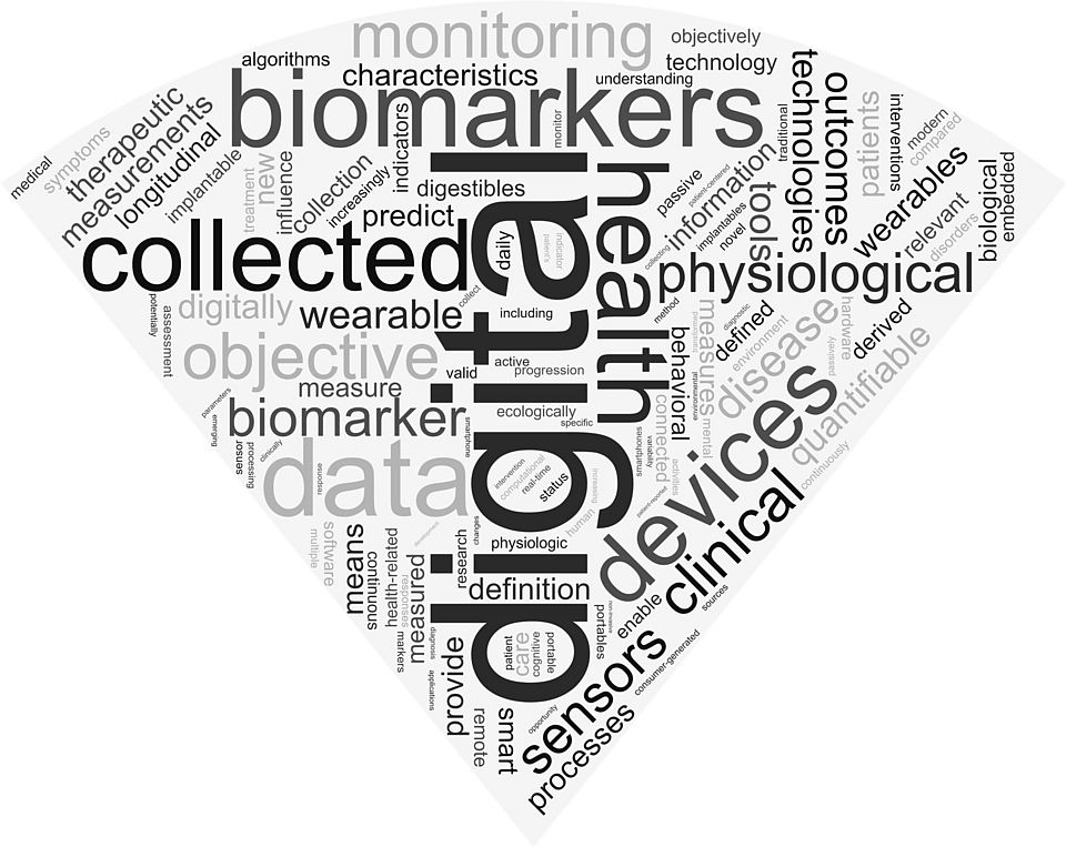 Definitions of digital biomarkers: a systematic mapping of the biomedical literature 