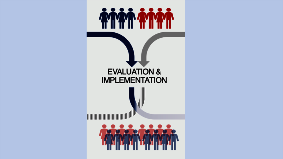 Evaluation and Implementation